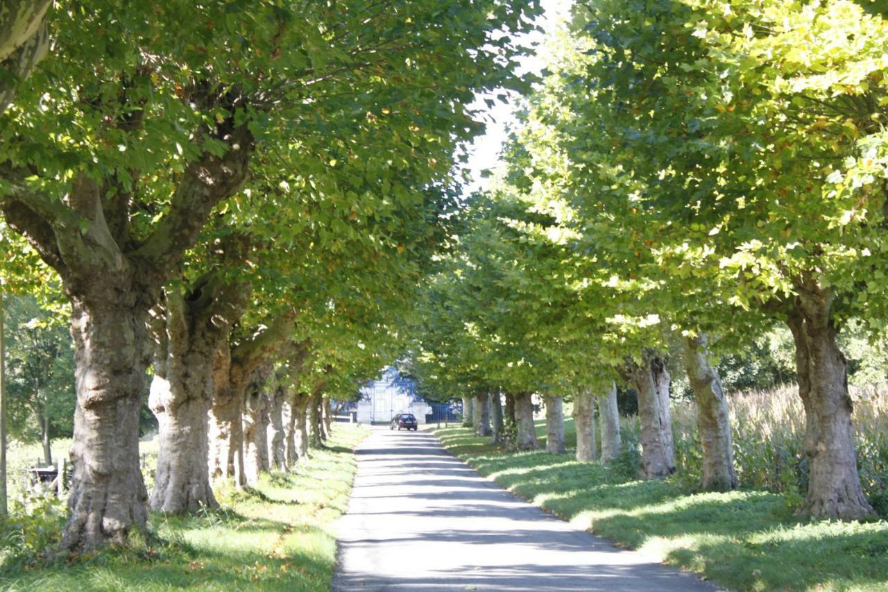 Avenue Du Chateau Saint-Just  Ngoại thất bức ảnh